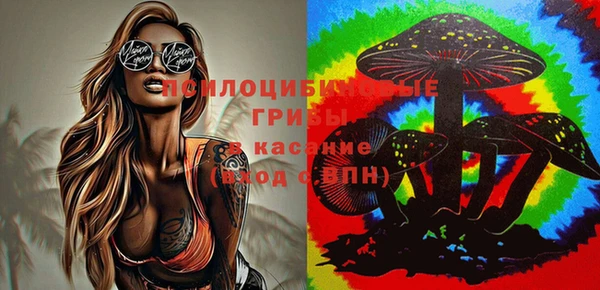 каннабис Белокуриха