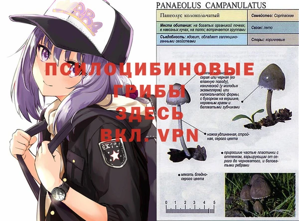меф Беломорск
