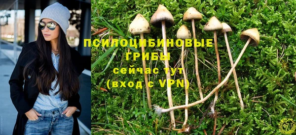 хмурый Белоозёрский