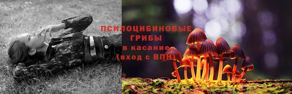 хмурый Белоозёрский